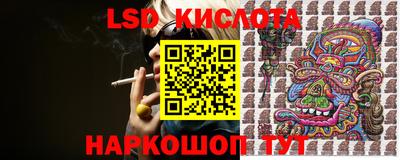 индика Кулебаки
