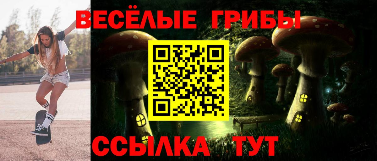 Галлюциногенные грибы прущие грибы Волгодонск
