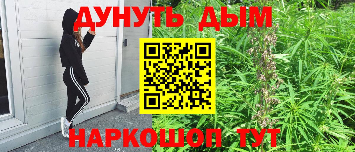 Конопля LSD WEED  Вход с VPN  Волгодонск  Бошки Шишки LSD WEED  Канабис гибрид  Канабис SATIVA & INDICA 